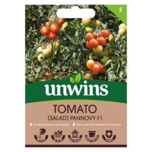 Unwins Vegetable Tomato Pannovy F1 Hybrid - 6 Seeds