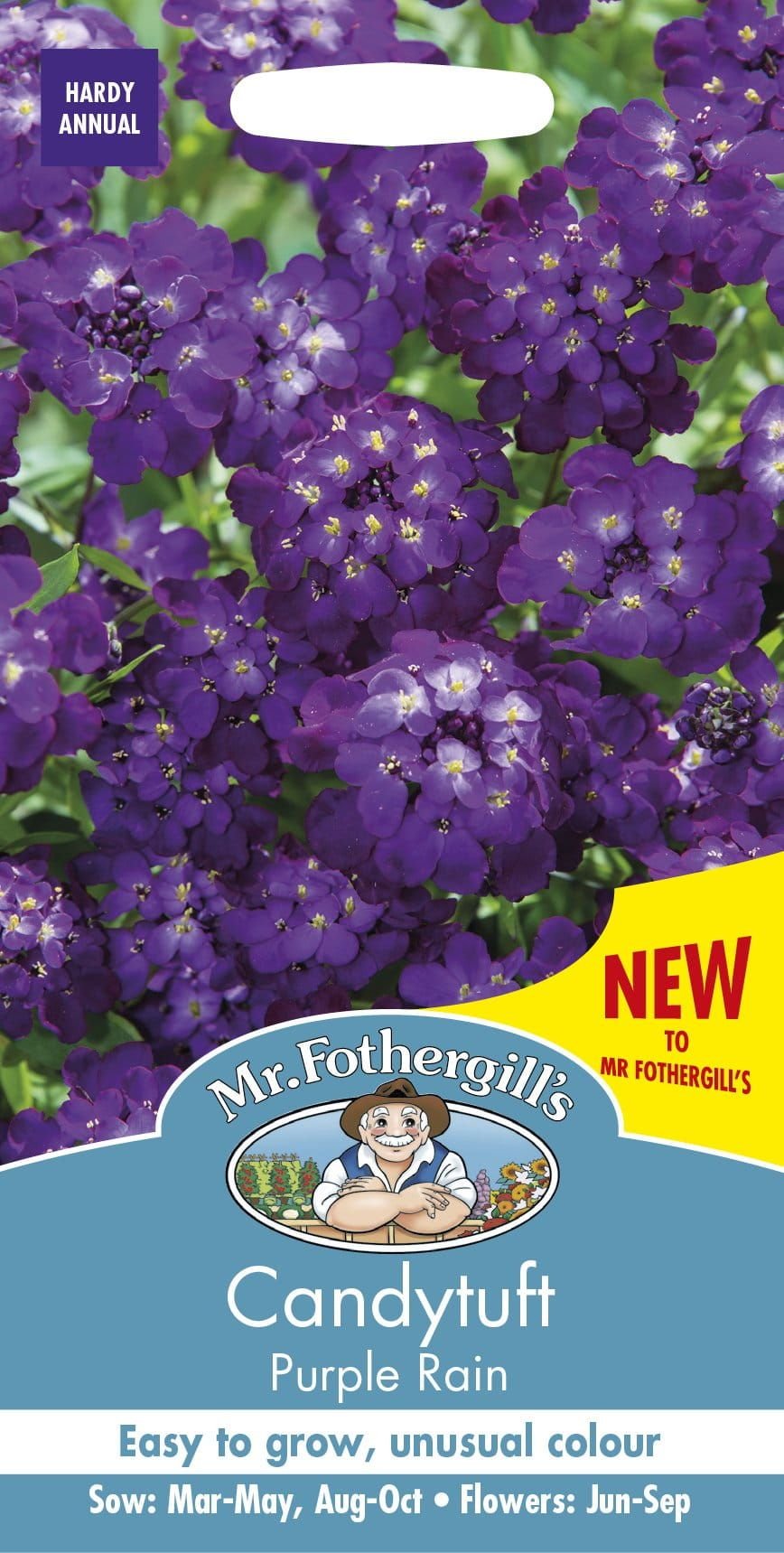 128260_Candytuft_Purple_Rain_comp_22d0ed61-d189-4aa0-b5c2-5628720479dc.jpg