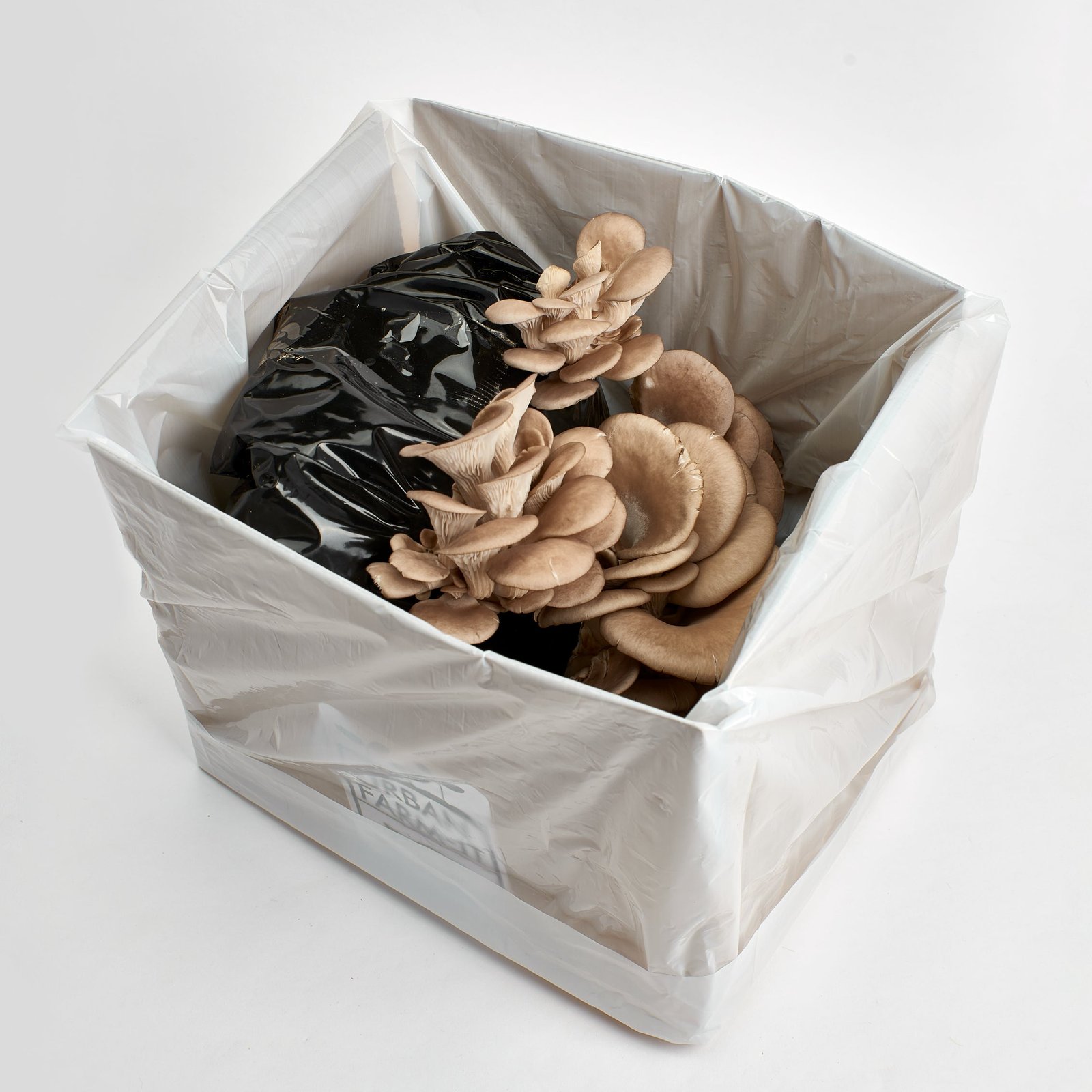 1UrbanFarm-It_MushroomGrowKit_BlueGreyOyster_3.jpg