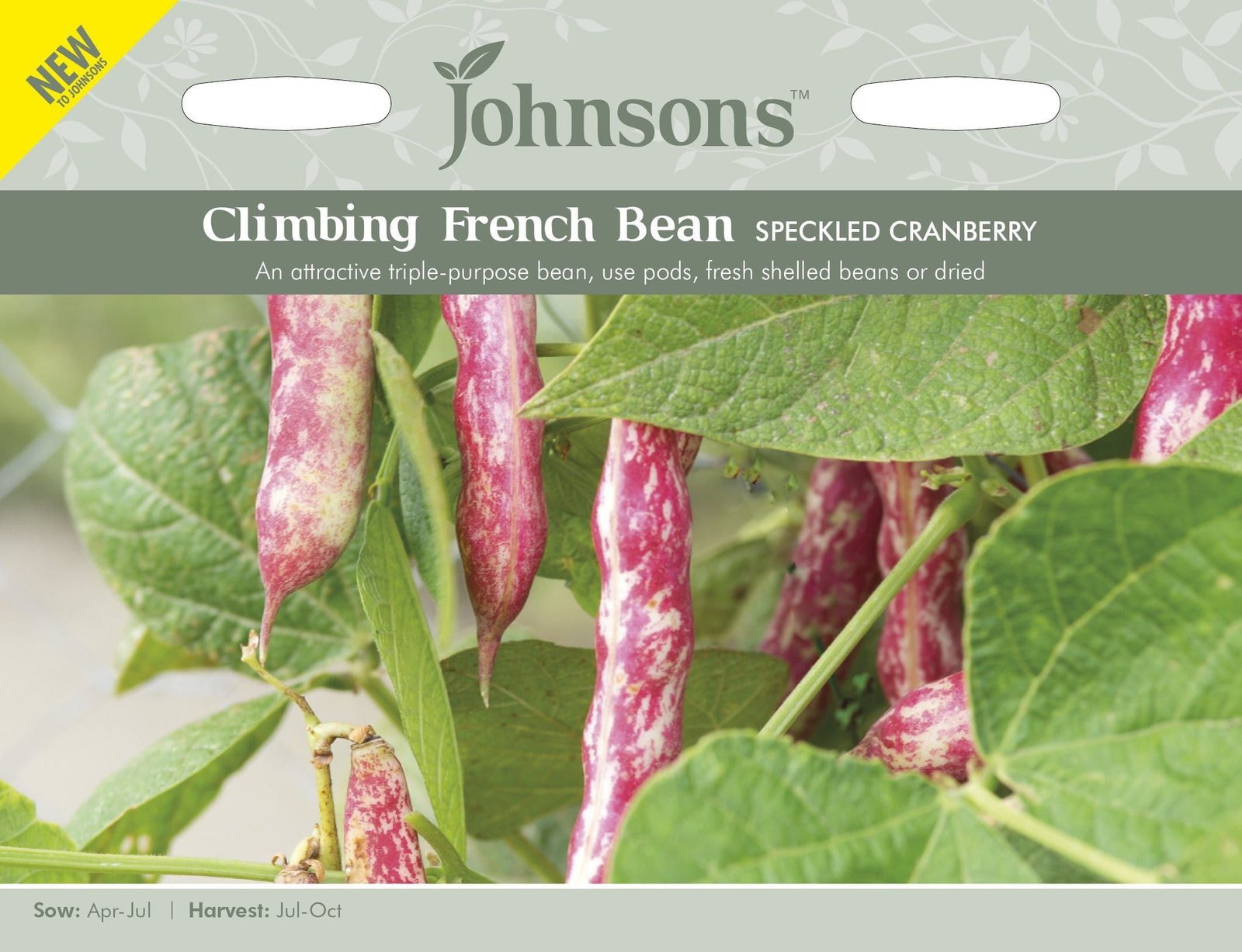 32959ClimbingBeanSpeckledCranberry_comp_84055362-7427-4286-bbc9-f9a854ae6916.jpg