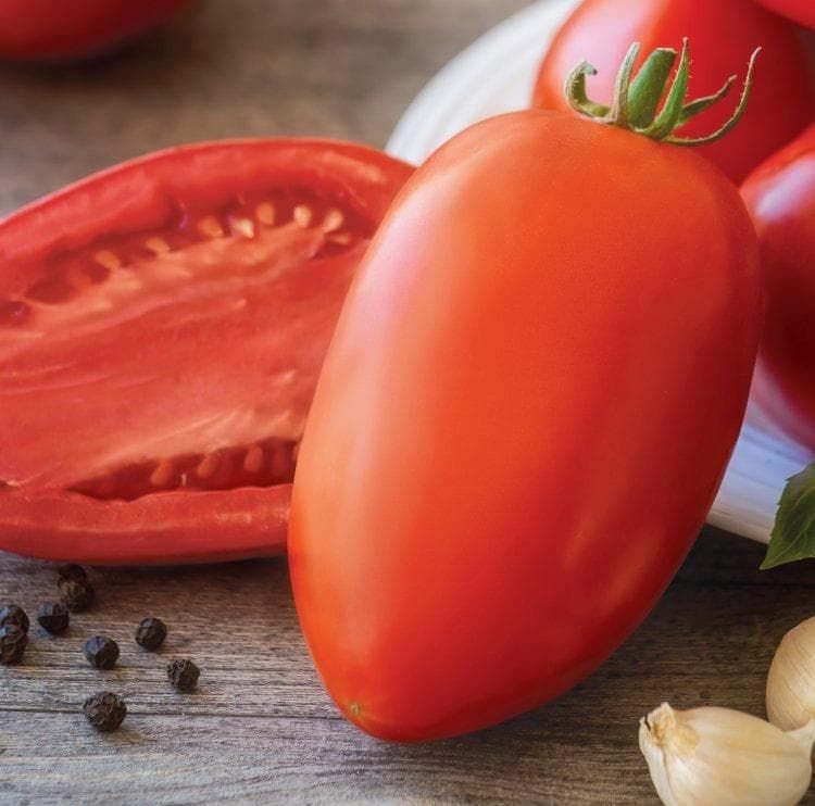 750x742_1497870590GladiatorHybridTomato_1_comp_d251f5db-959b-4a8e-86c9-12294fb16e89.jpg
