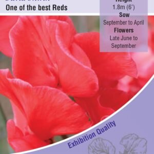 Kings Seeds Sweet Pea David Unwin 20 Seeds