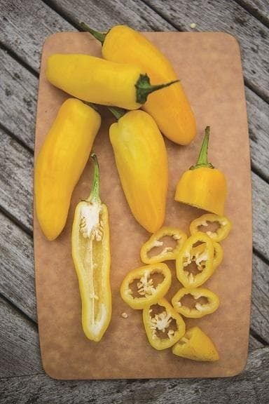 Lemon_Dream-2A_comp_c01231e9-500a-49c4-80b2-ef86f0f9e93f.jpg