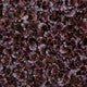 Lettuce Red Lollo Rossa Lidivia RZ - LS10647 Seeds
