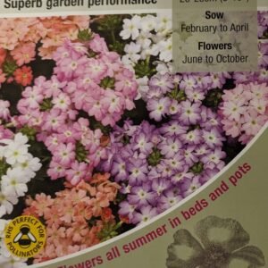 Kings Seeds Verbena Tuscany Pastel Shades 30 Seed