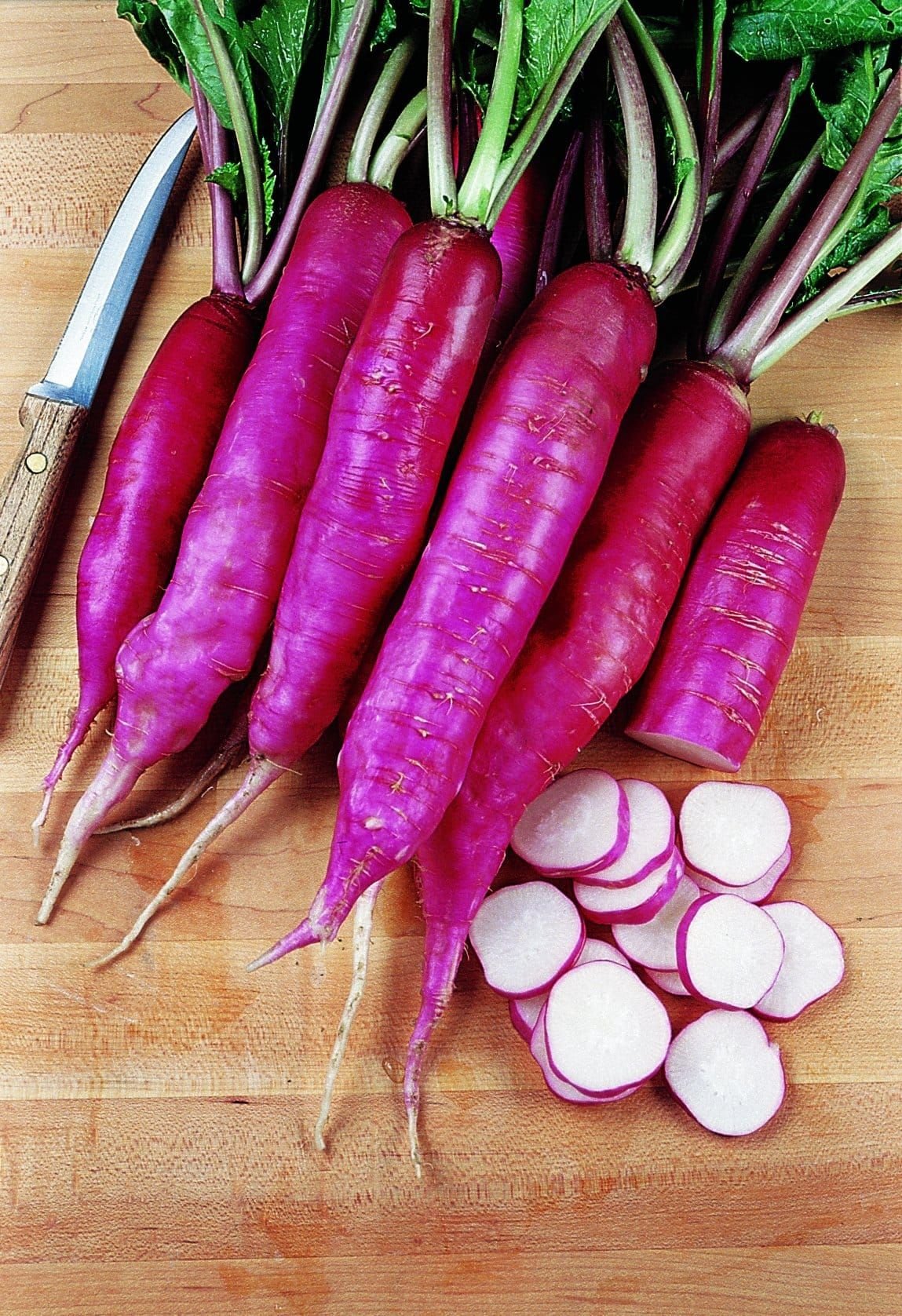 Salad_Rose_comp_f874a752-b69d-4c0f-9141-2e0ae0dbe7e8.jpg