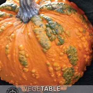 Thompson & Morgan Kew Vegetable Pumpkin Zombie - 5 Seeds