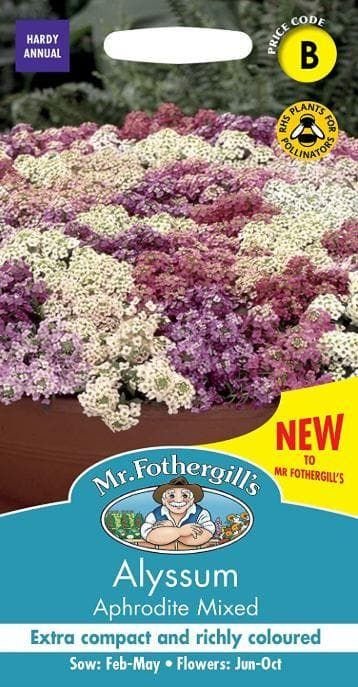 alyssum_comp_2ef560f1-2782-4975-8c45-0e8a3a7bfdc5.jpg