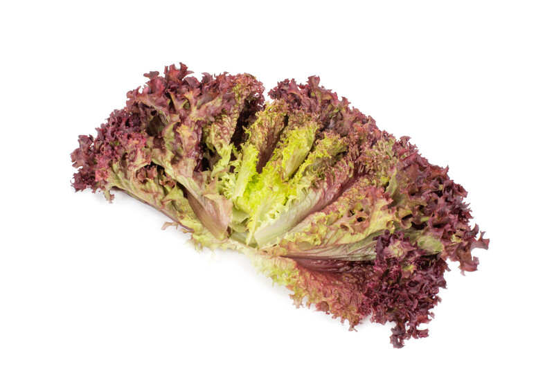 basil2.png