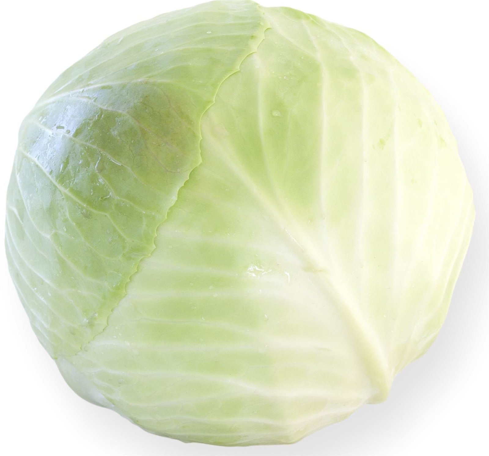 c05830b1-2461-483c-9115-c3cefe6117f0_comp_6f48de73-07ee-4c37-9d5e-c799c836f0ff.jpg