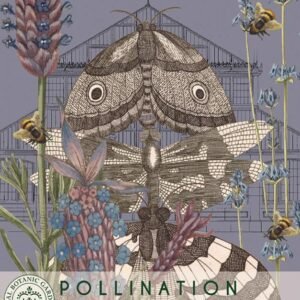 Thompson & Morgan Flower Lavender - 110 Seeds