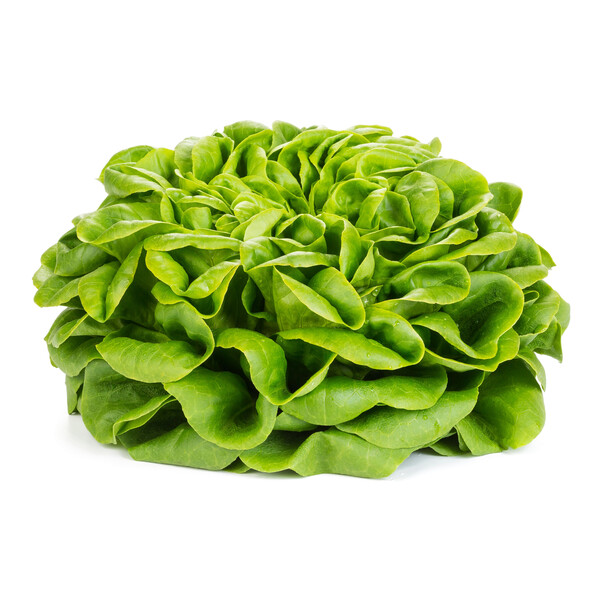 chal2.png