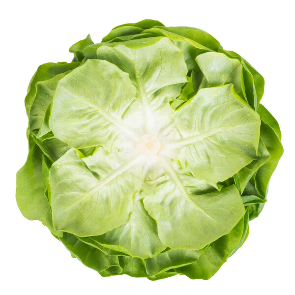 chalm3.png