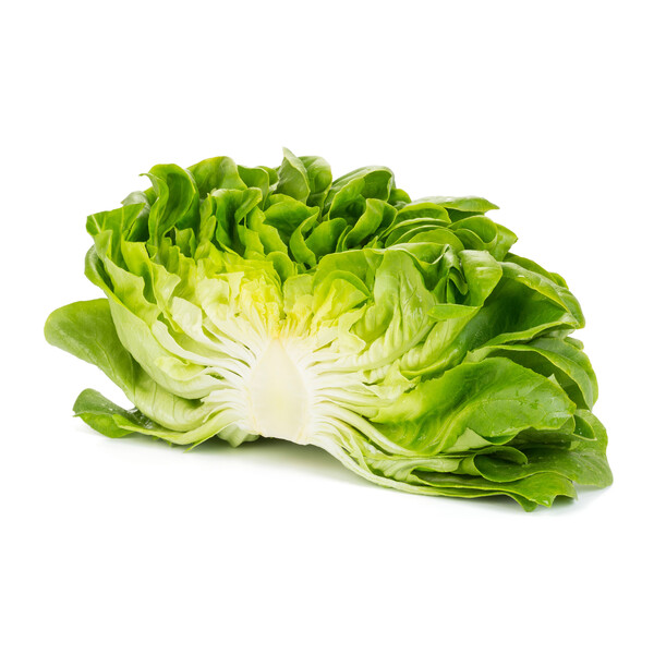 chalm4.png