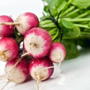 Organic Seed Vegetable Suffolk Herbs Pictorial Packet - Radish - Sparkler Seeds
