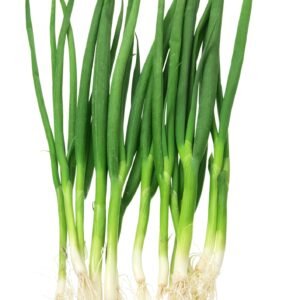 Spring Onion White Lisbon Seeds