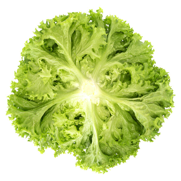 limas3.png