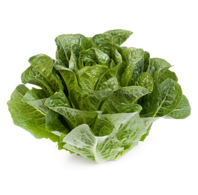 madelona2.jpg