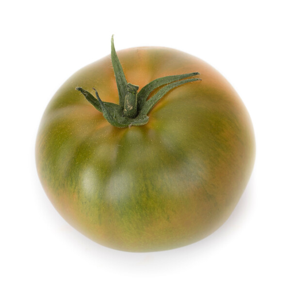 mont1.png