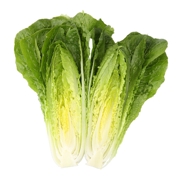 nic3.png