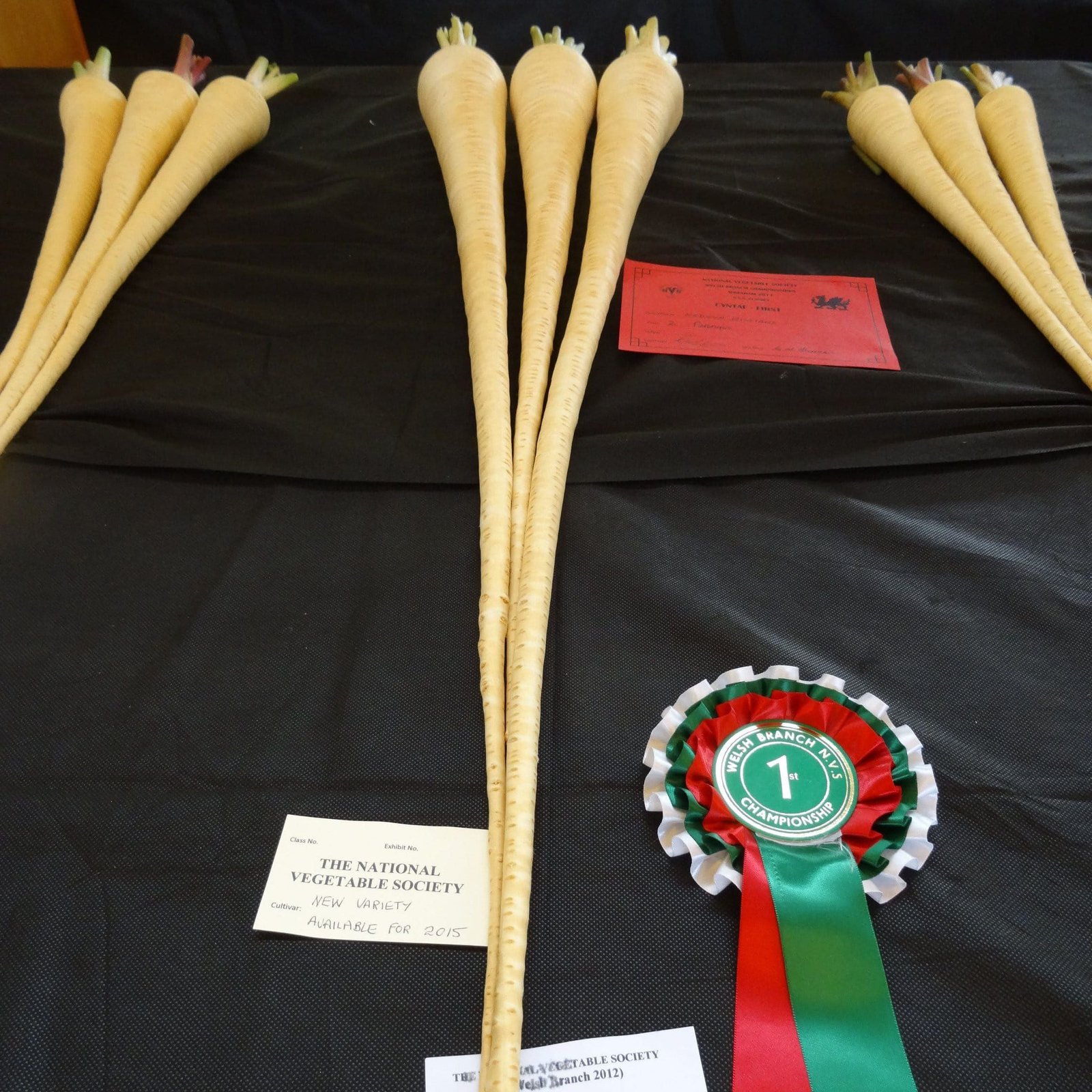 parsnipvictor_comp_562afa85-c9e1-4e70-92b9-8a39e398e0f1.jpg