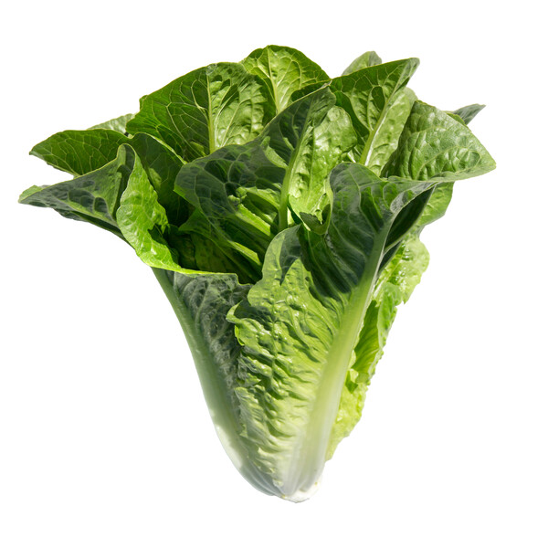 pat1.png