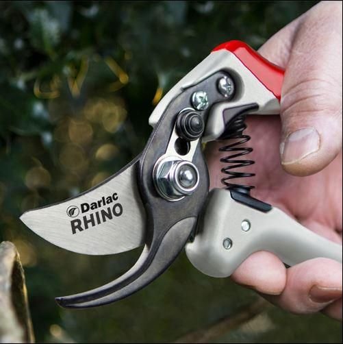 rhino2_comp.jpg