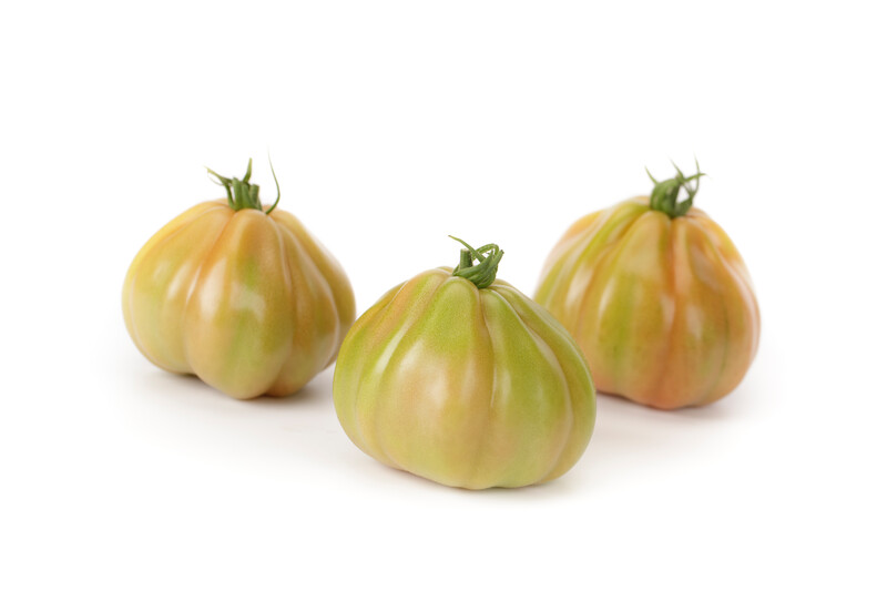rugan2.png