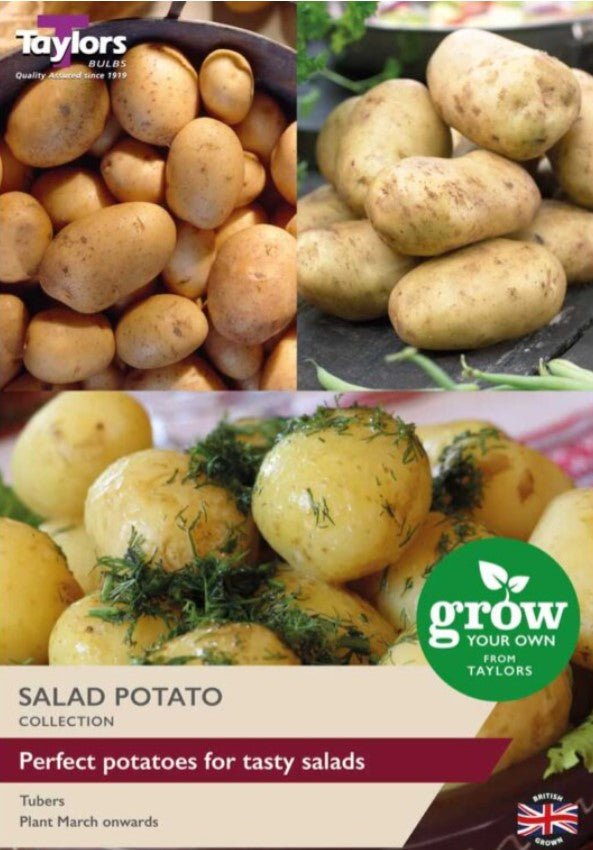 saladpotato.jpg