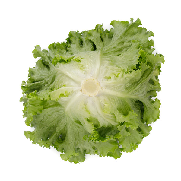 stat3.png