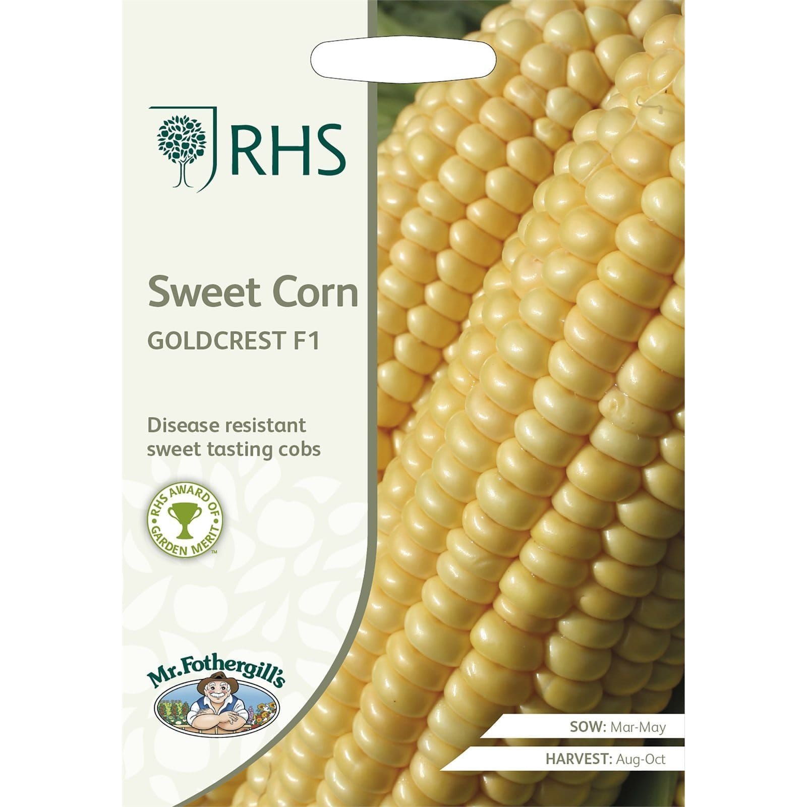 sweetcorngold_comp_48422e33-0af5-4d7f-b46e-1f960c6e887d.jpg