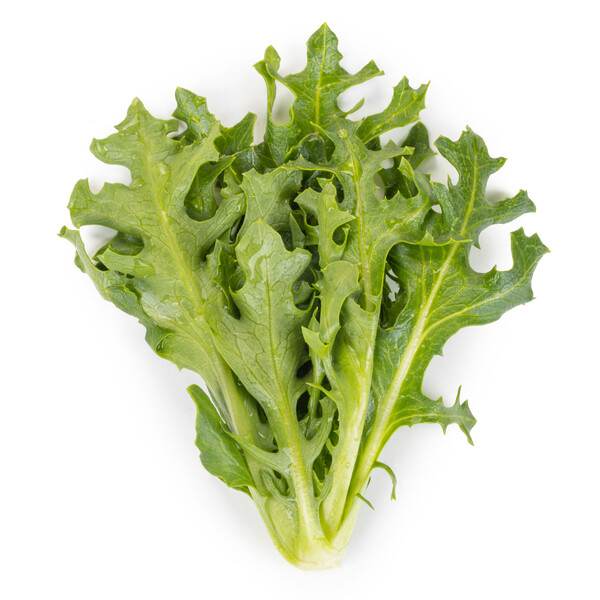 tamb4.png